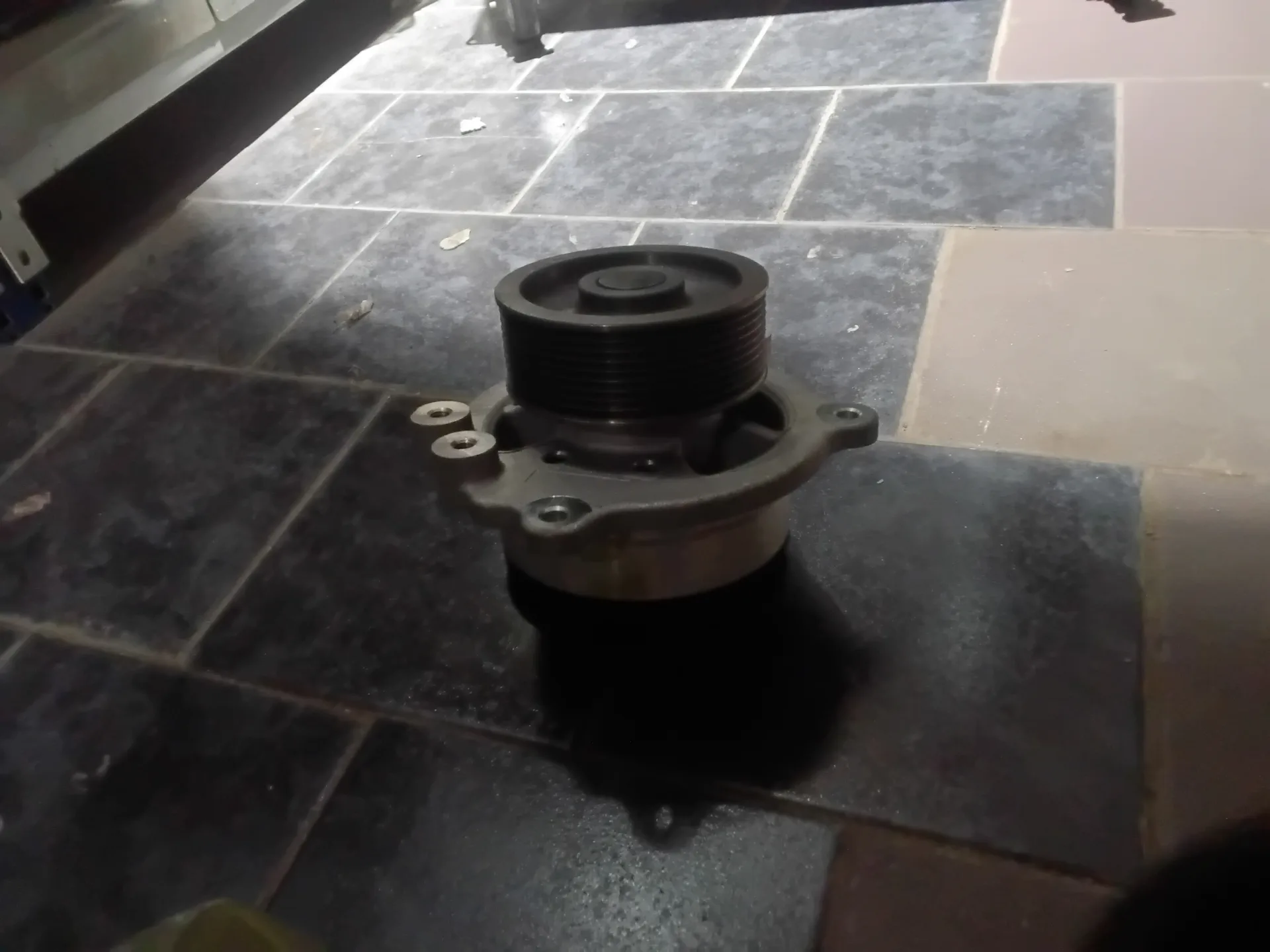 Pompe à Eau DAF